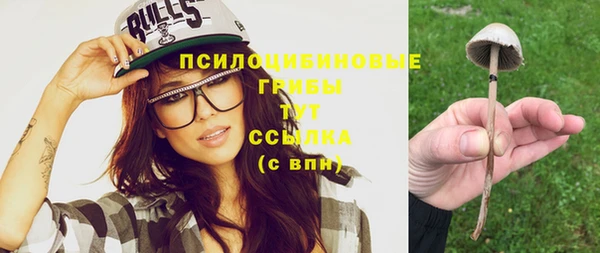 круглые Белокуриха