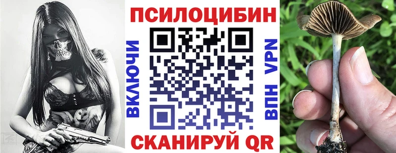 Псилоцибиновые грибы мухоморы Нижнекамск